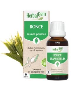 Ronce (Rubus fructicosus) j.p - Bourgeon BIO, 30 ml